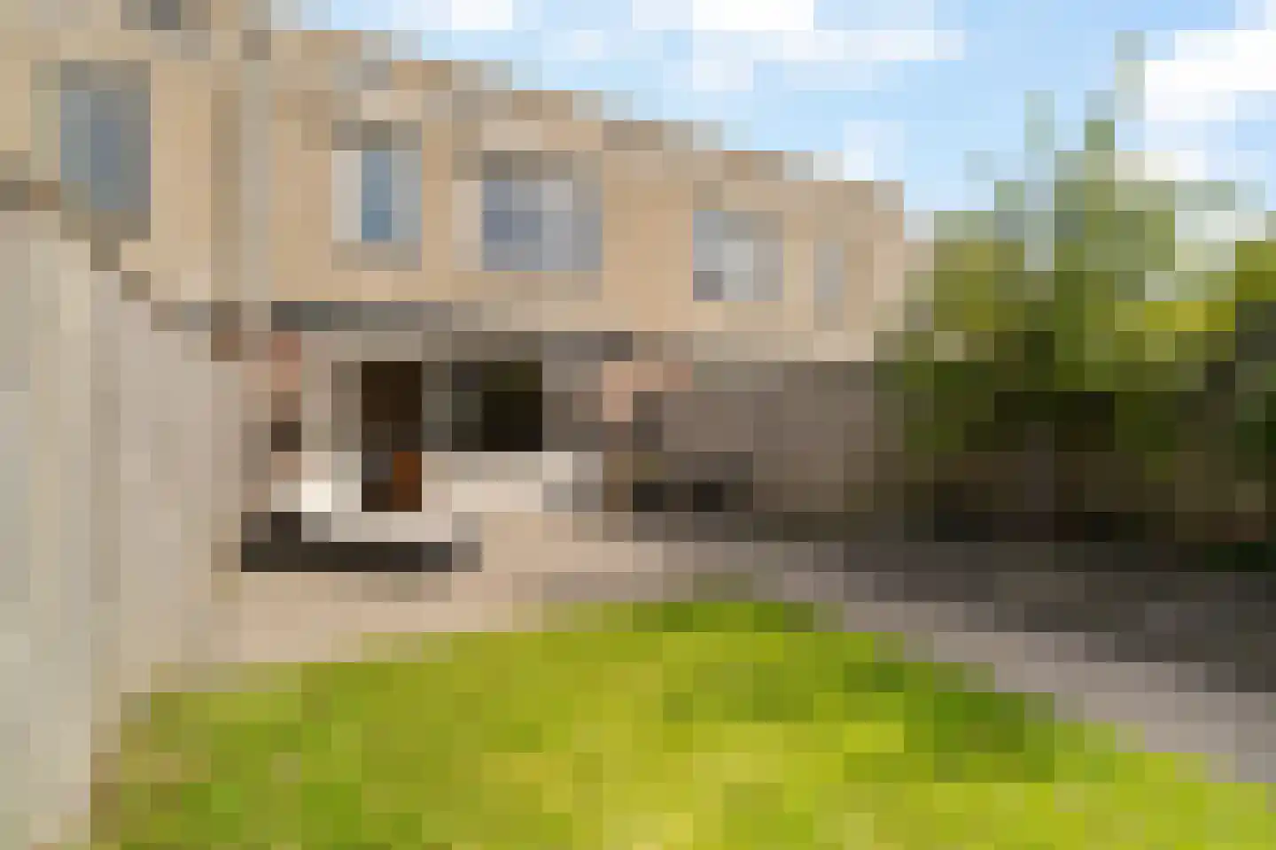 Korenbloem 24 Noordwijkerhout thumbnail 36