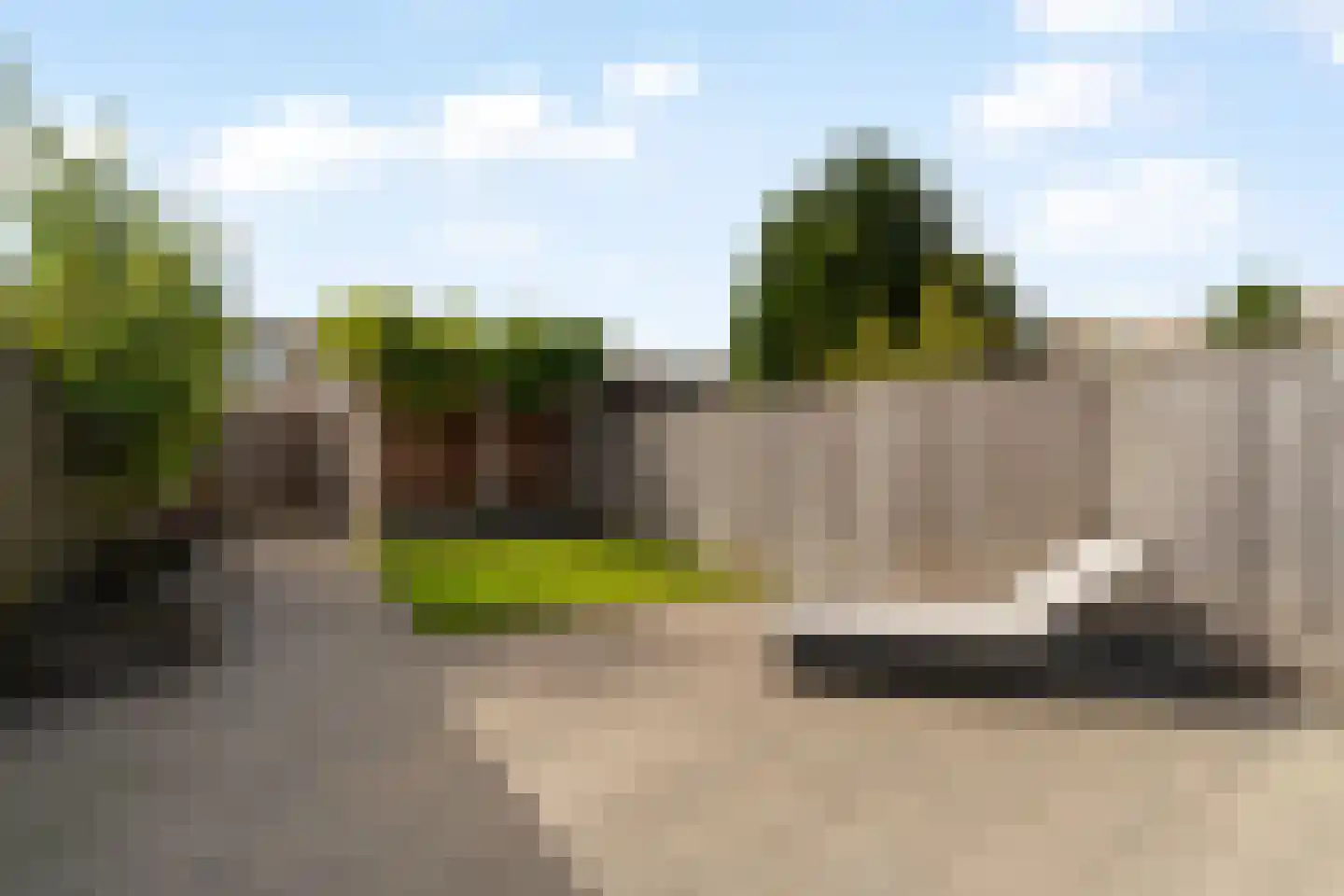 Korenbloem 24 Noordwijkerhout thumbnail 37