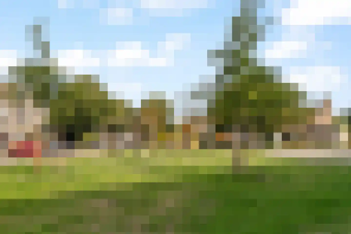 Korenbloem 24 Noordwijkerhout thumbnail 40