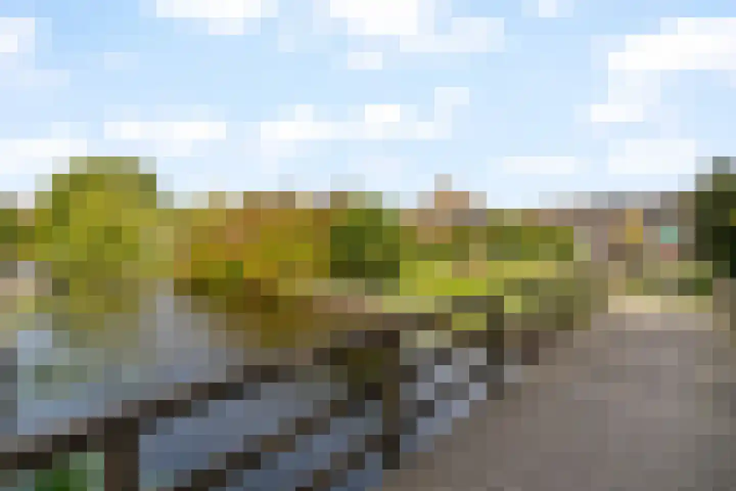 Korenbloem 24 Noordwijkerhout thumbnail 41