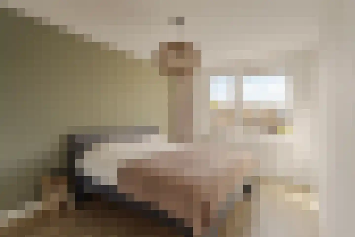 Korenbloem 24 Noordwijkerhout thumbnail 5