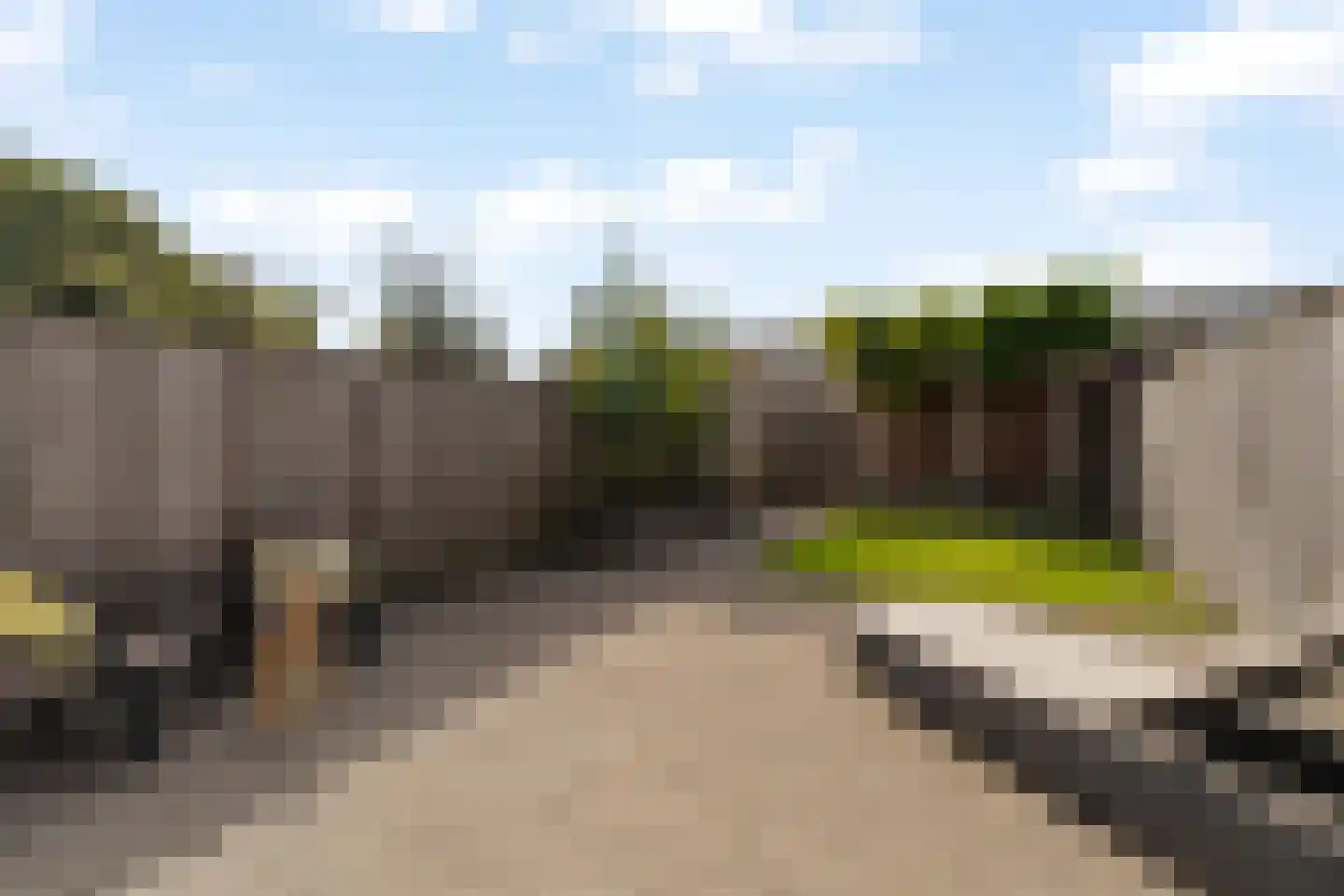 Korenbloem 24 Noordwijkerhout thumbnail 6