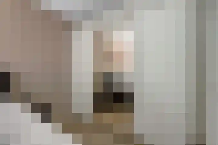 Korenbloem 26 Galder thumbnail 16