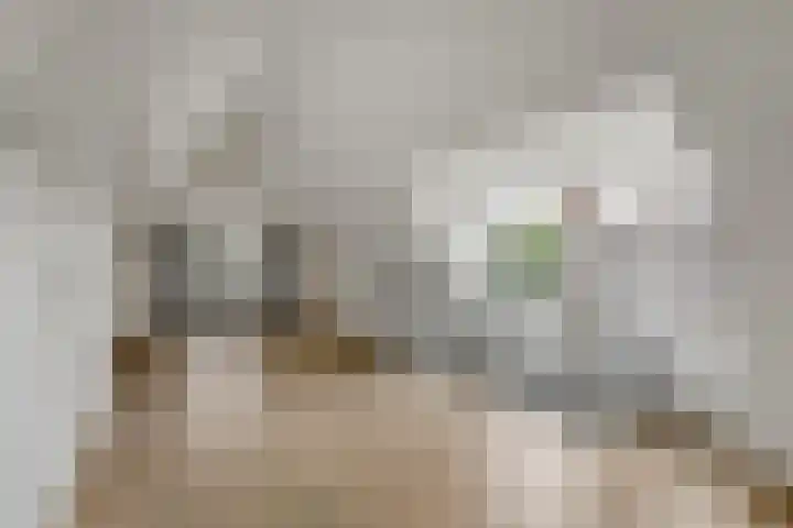Korenbloem 26 Galder thumbnail 24