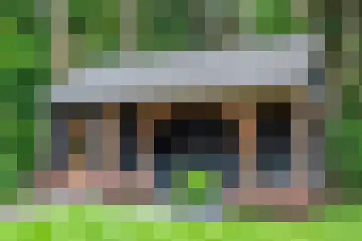 Korenbloem 26 Galder thumbnail 32