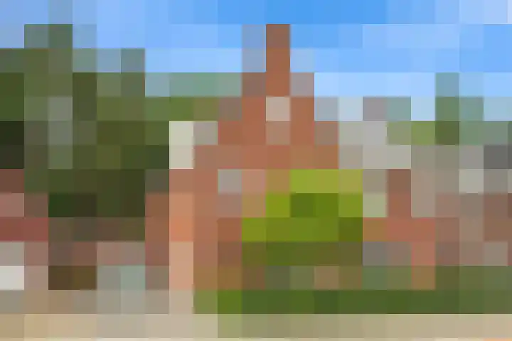 Korenbloem 26 Galder thumbnail 36
