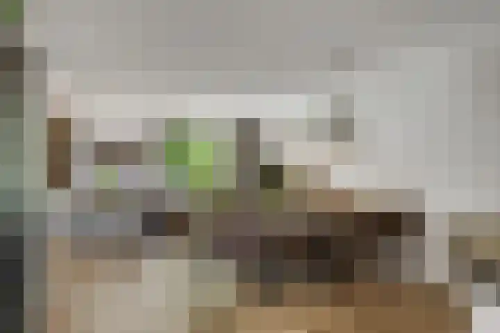 Korenbloem 26 Galder thumbnail 7