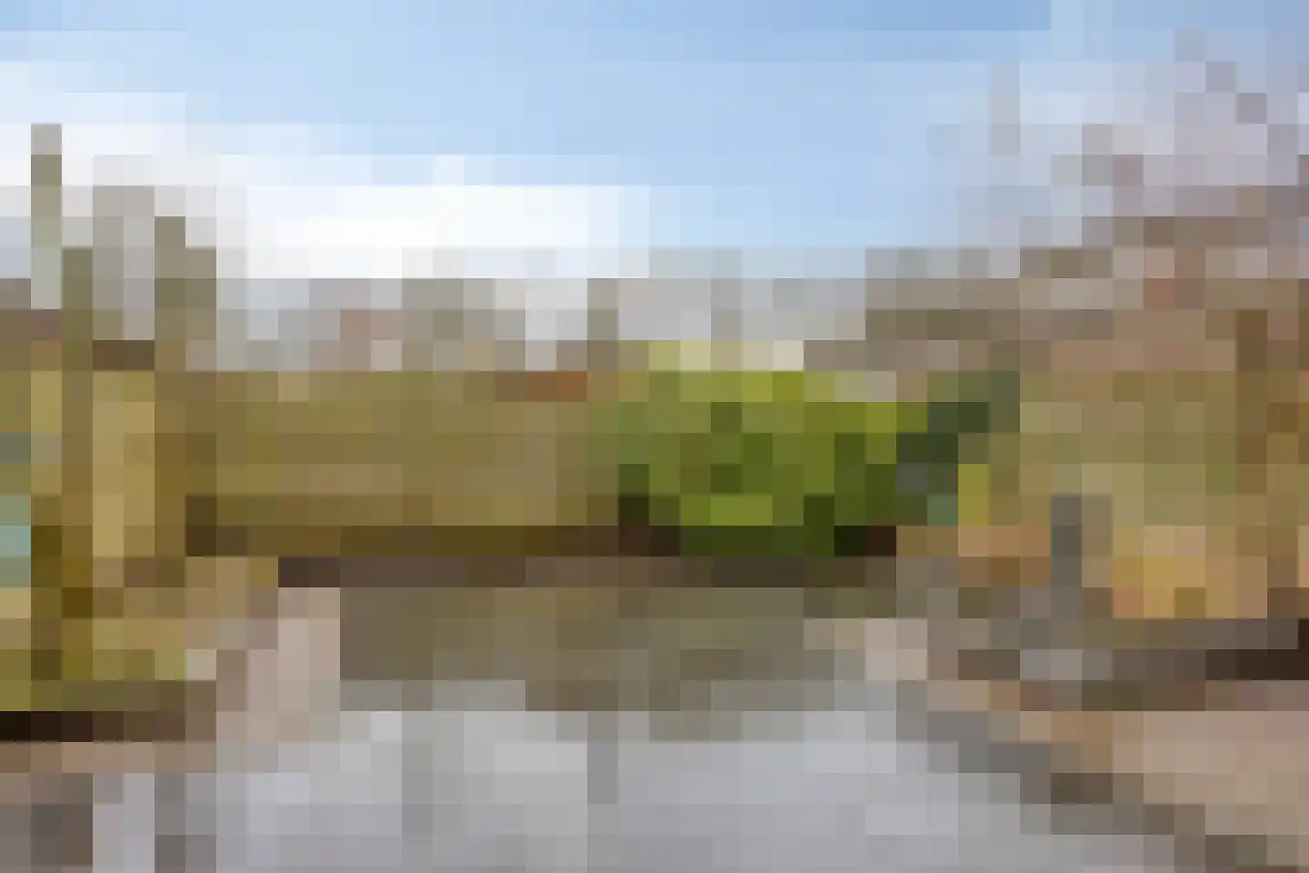 Korenbloem 26 Heino thumbnail 20