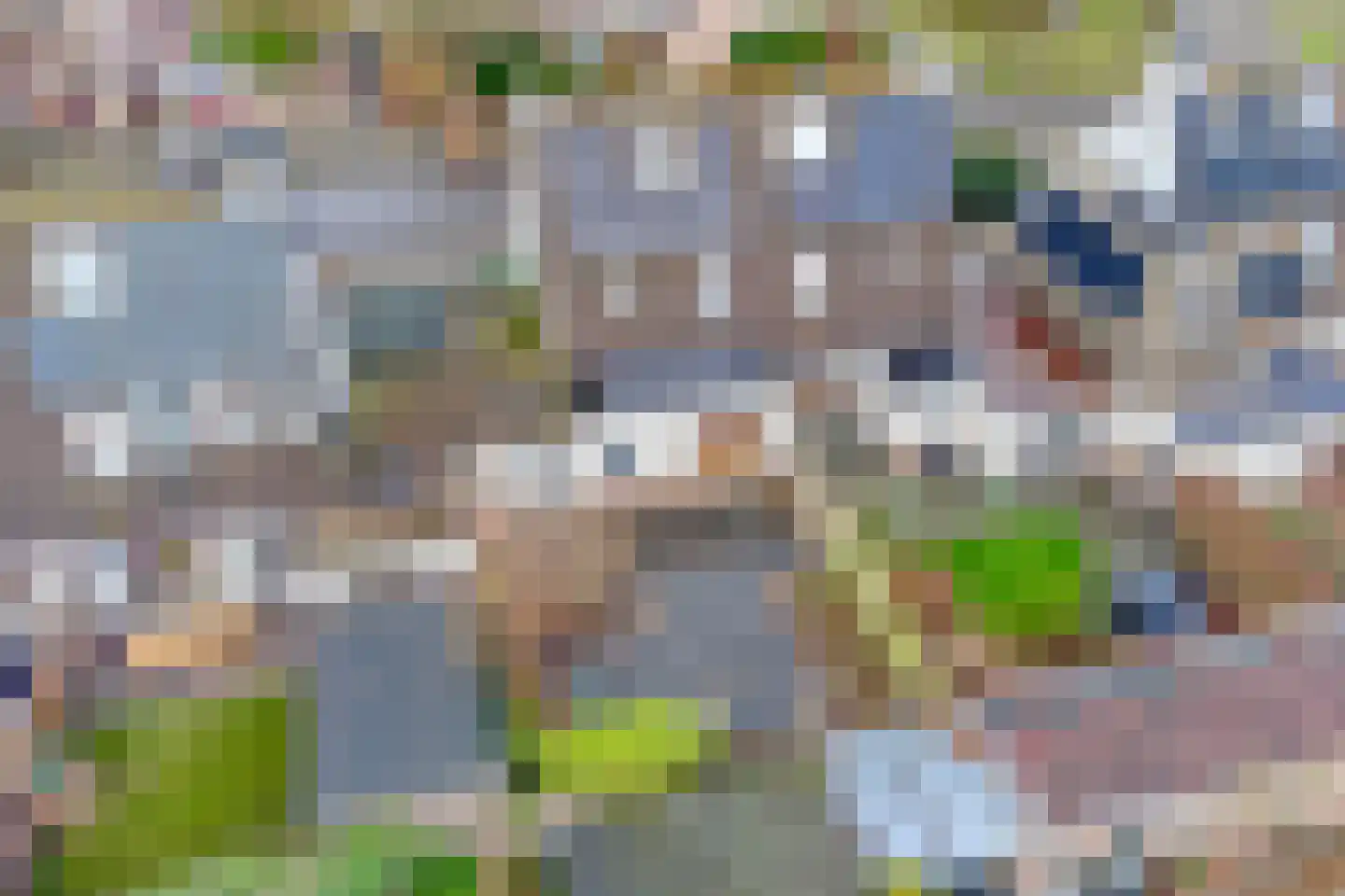 Korenbloem 26 Heino thumbnail 21