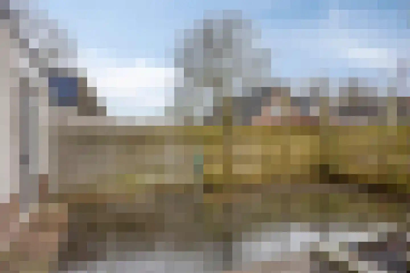 Korenbloem 26 Heino thumbnail 22