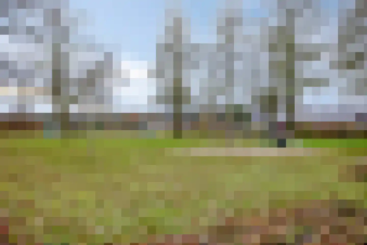Korenbloem 26 Heino thumbnail 29