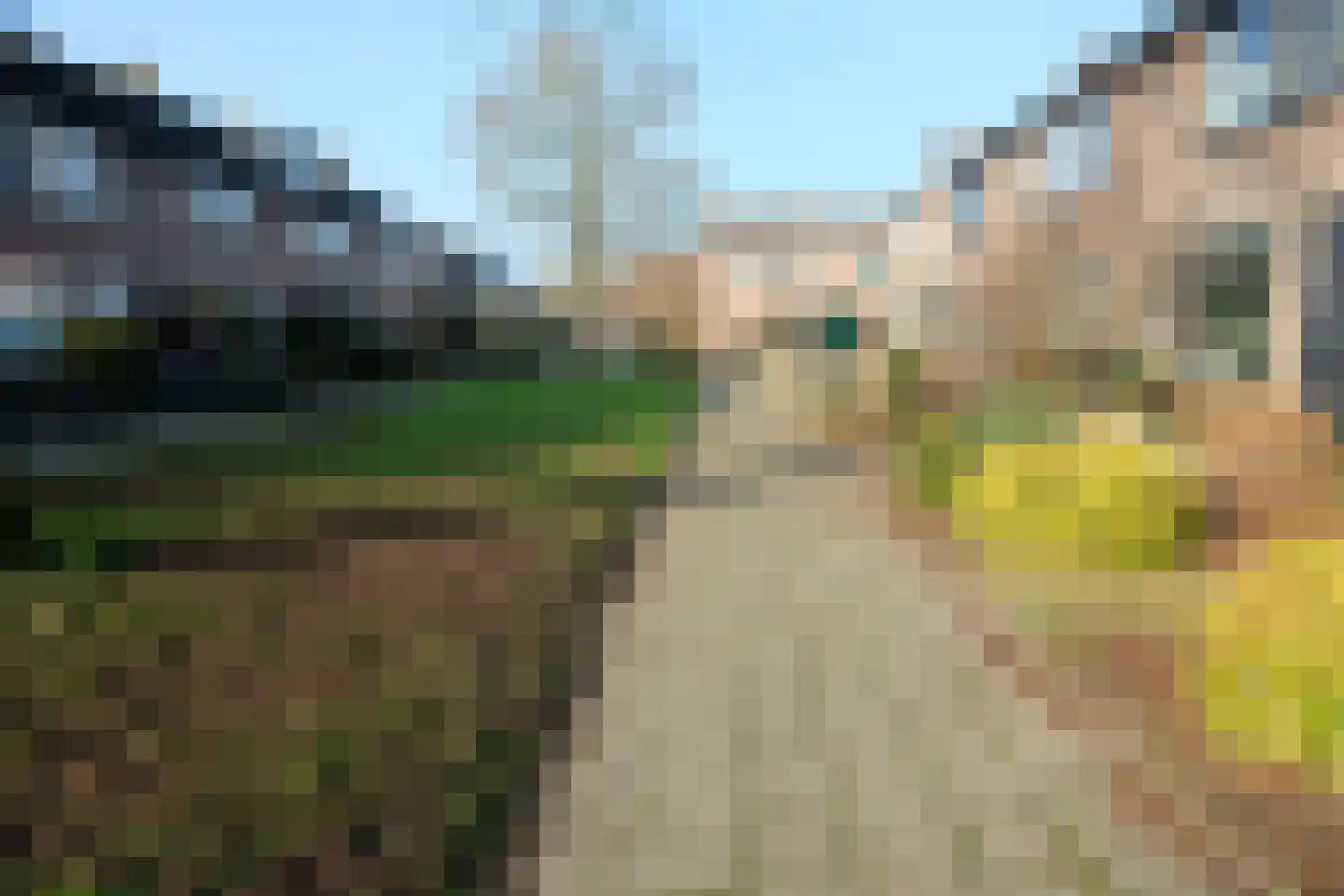 Korenbloem 27 Culemborg thumbnail 13