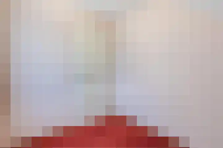Korenbloem 28 Helden thumbnail 26