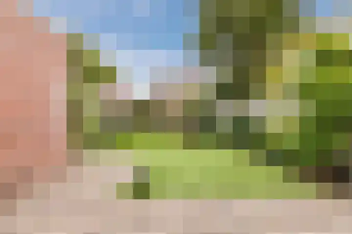 Korenbloem 28 Helden thumbnail 40