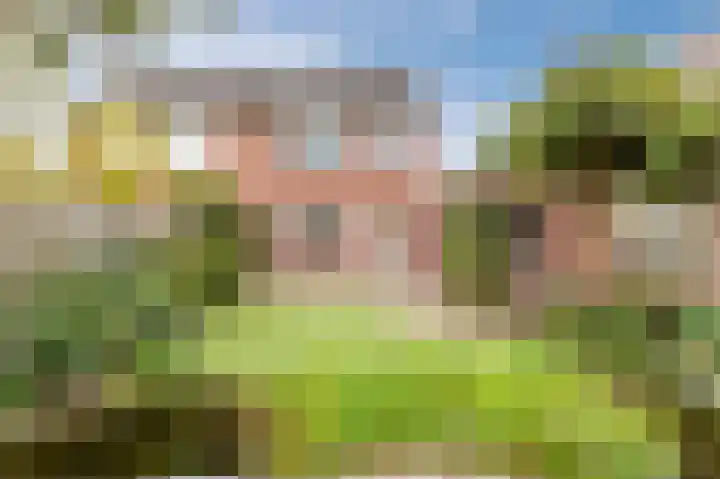 Korenbloem 28 Helden thumbnail 41