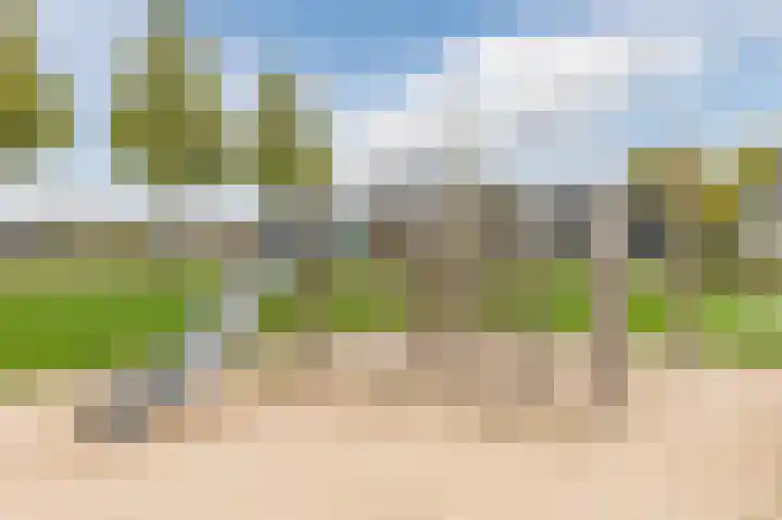 Korenbloem 28 Helden thumbnail 43