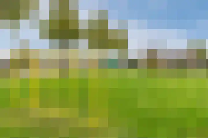 Korenbloem 28 Helden thumbnail 44