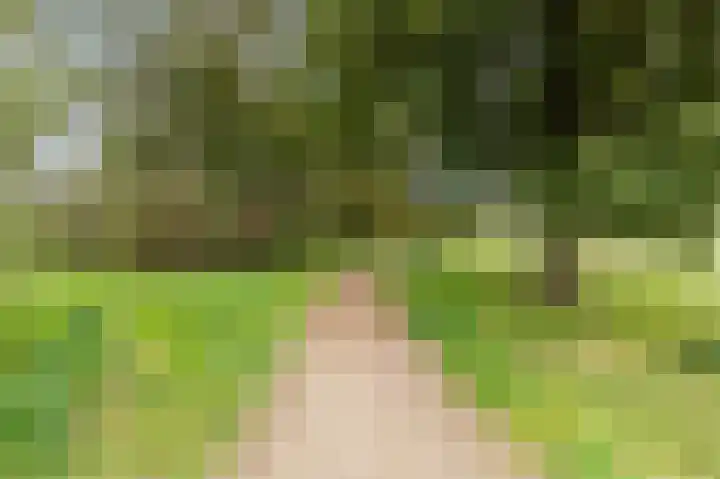 Korenbloem 28 Helden thumbnail 48