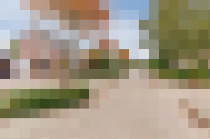 Korenbloem 28 Helden thumbnail 5