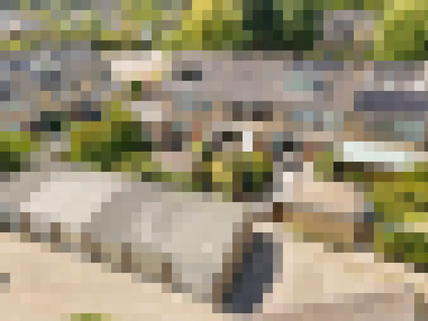 Korenbloem 29 Barendrecht thumbnail 36