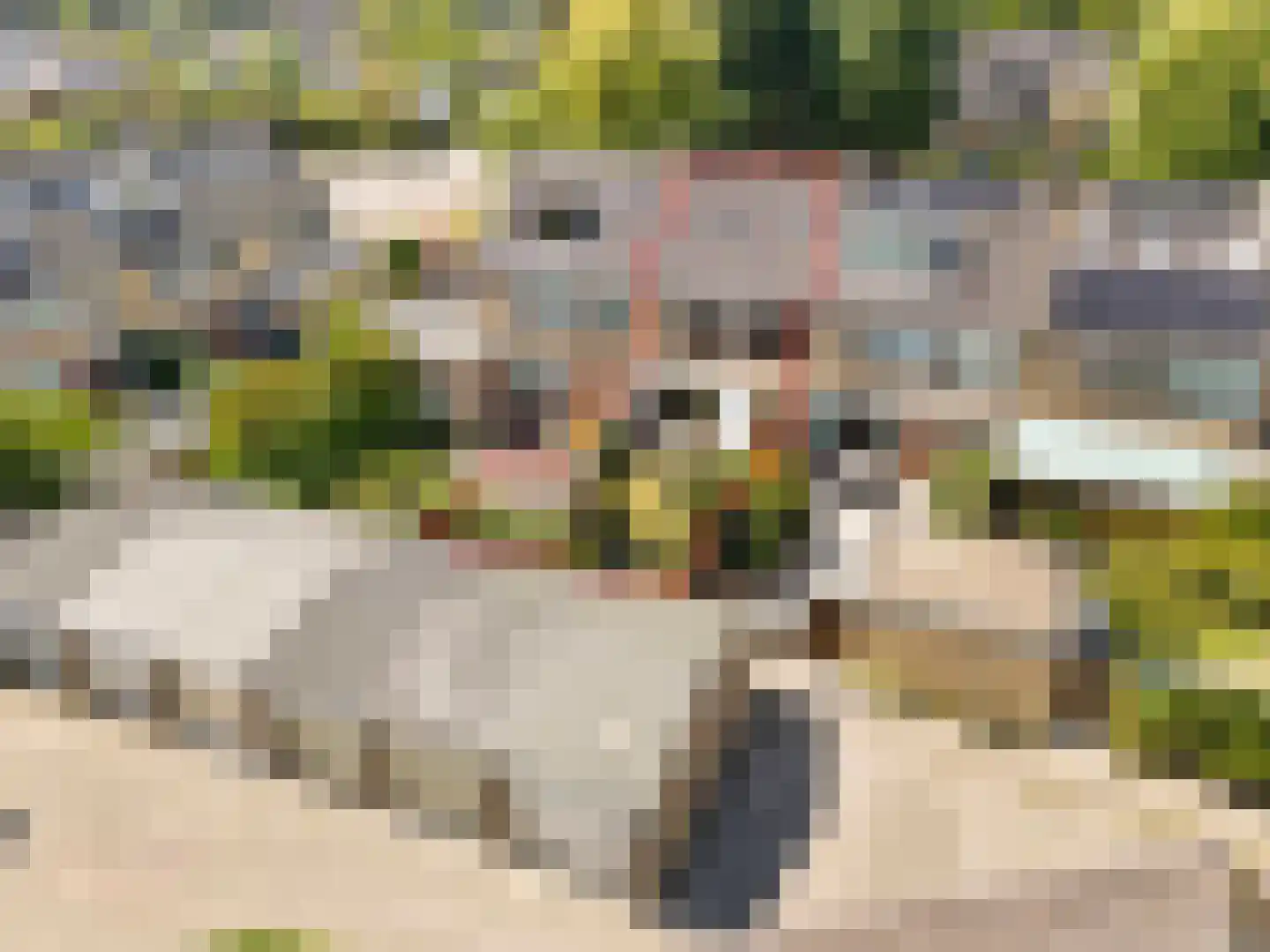 Korenbloem 29 Barendrecht thumbnail 37