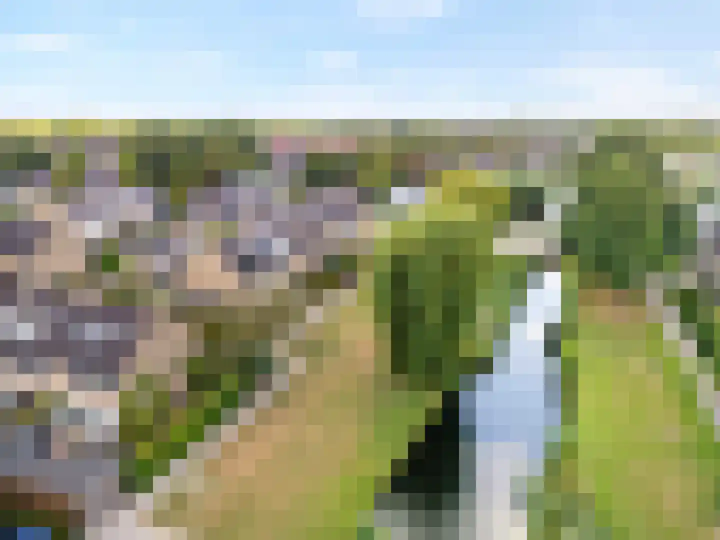 Korenbloem 29 Barendrecht thumbnail 42