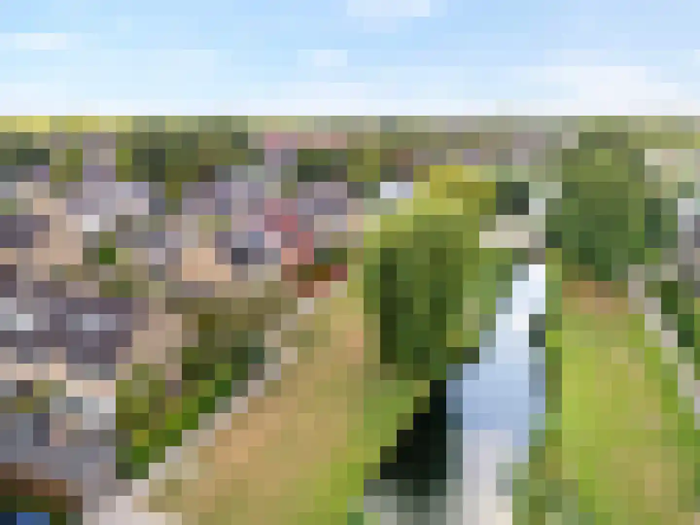 Korenbloem 29 Barendrecht thumbnail 43