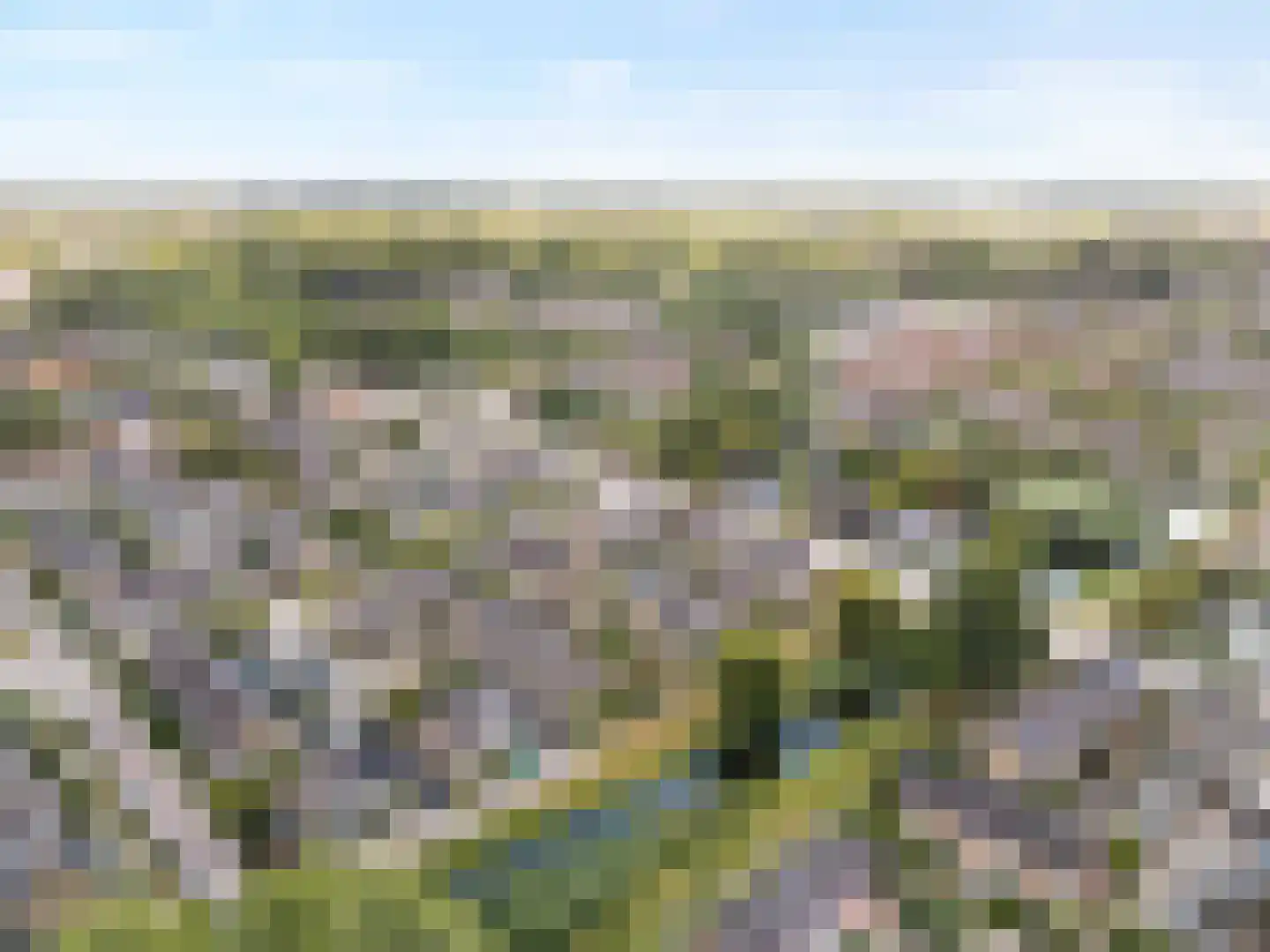 Korenbloem 29 Barendrecht thumbnail 44