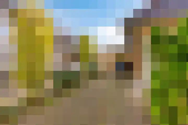 Korenbloem 30 Elburg thumbnail 4