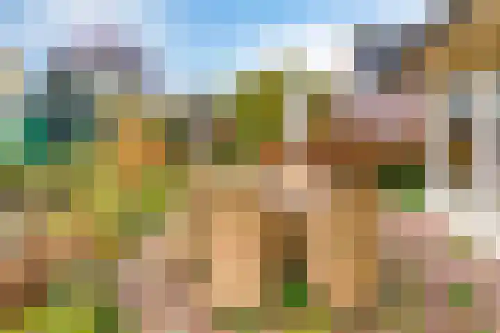 Korenbloem 30 Elburg thumbnail 46