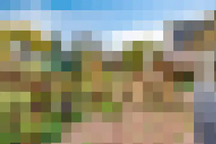 Korenbloem 30 Elburg thumbnail 47