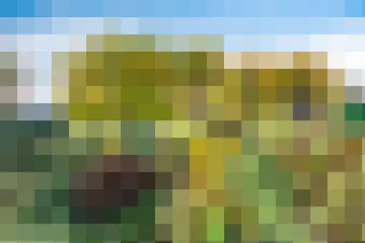 Korenbloem 30 Elburg thumbnail 49