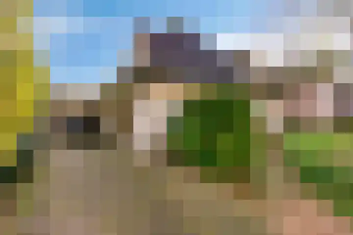 Korenbloem 30 Elburg thumbnail 5