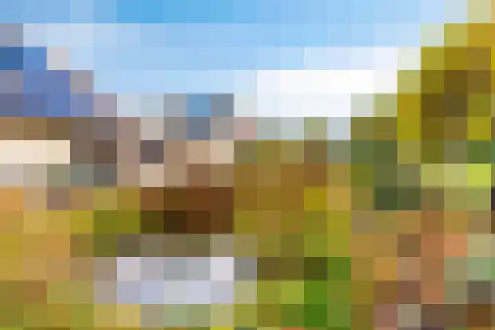 Korenbloem 30 Elburg thumbnail 51