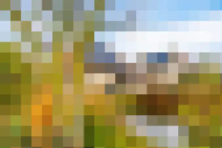 Korenbloem 30 Elburg thumbnail 53