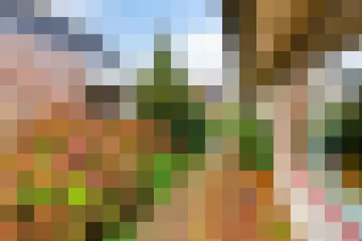 Korenbloem 30 Elburg thumbnail 55