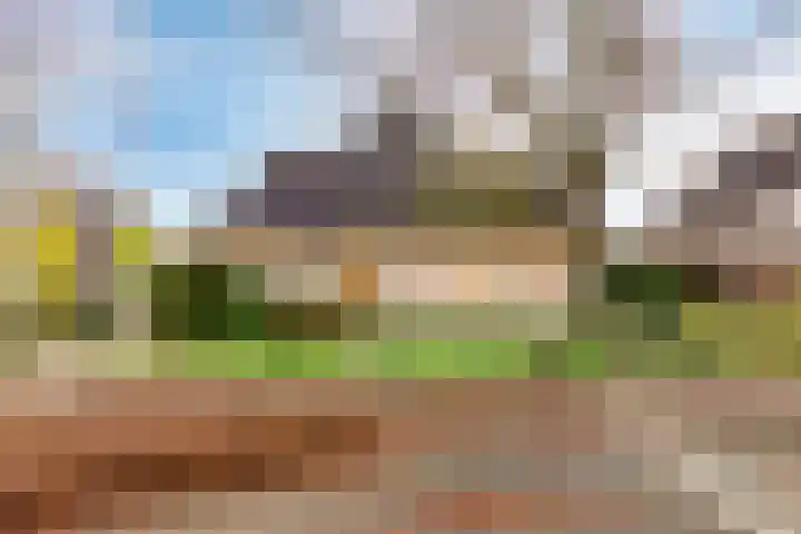 Korenbloem 30 Elburg thumbnail 57