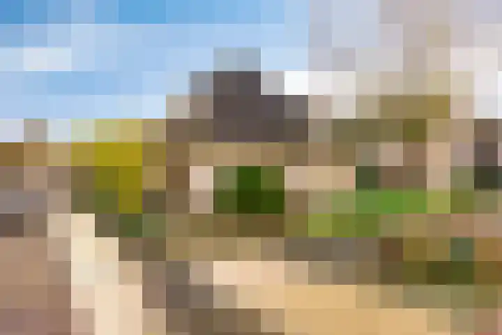 Korenbloem 30 Elburg thumbnail 58