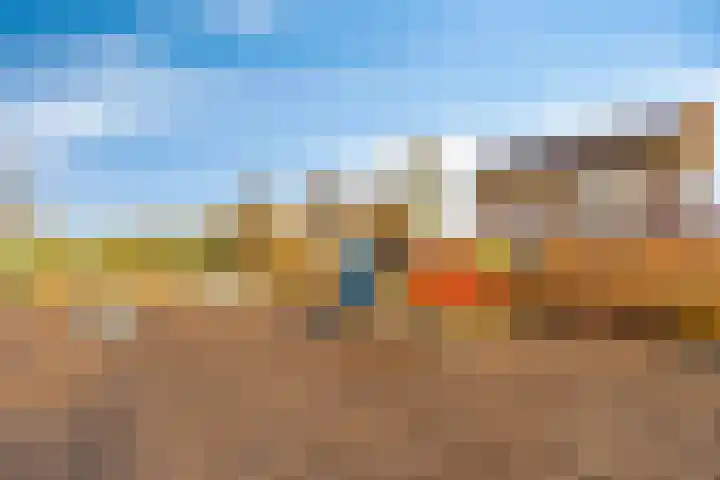 Korenbloem 30 Elburg thumbnail 61