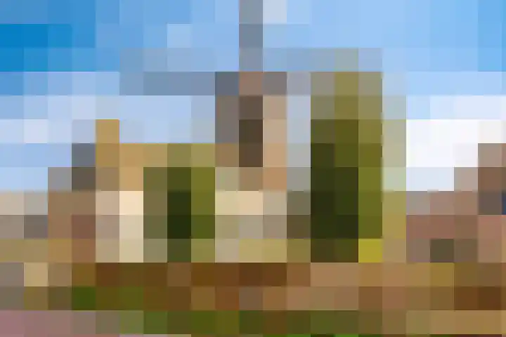 Korenbloem 30 Elburg thumbnail 62