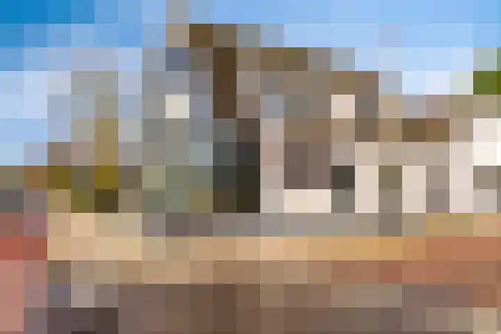 Korenbloem 30 Elburg thumbnail 64