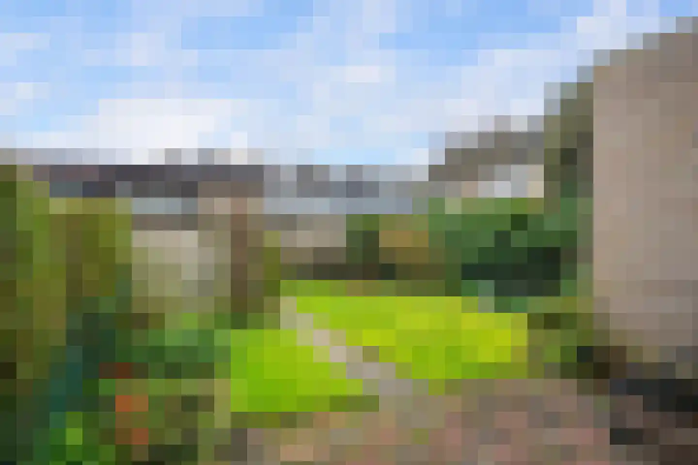 Korenbloem 31 Barendrecht thumbnail 34