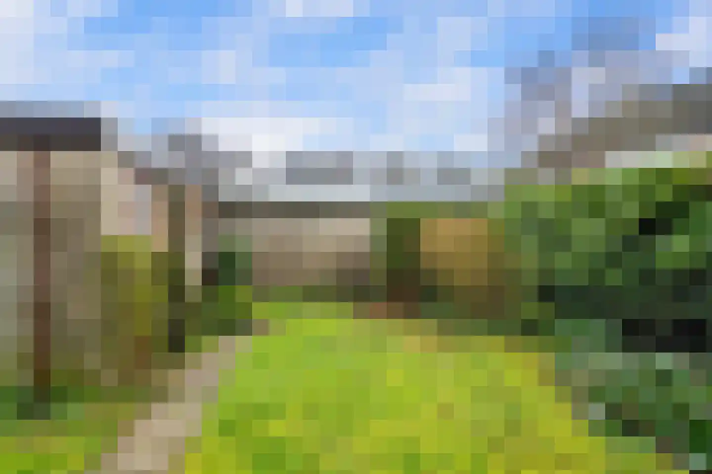 Korenbloem 31 Barendrecht thumbnail 36