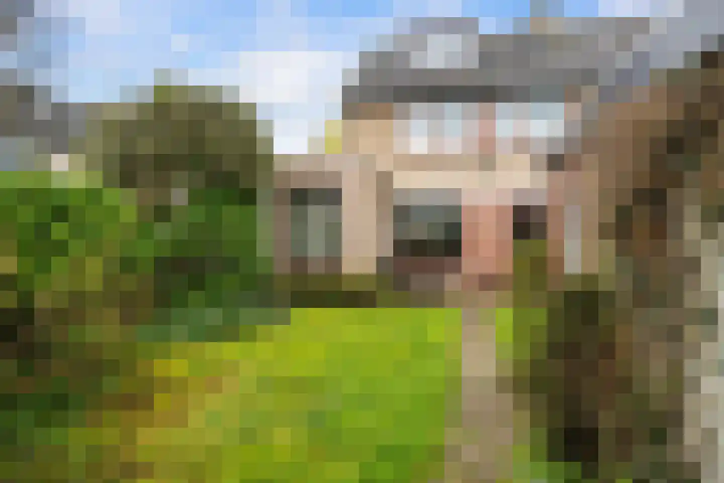Korenbloem 31 Barendrecht thumbnail 37