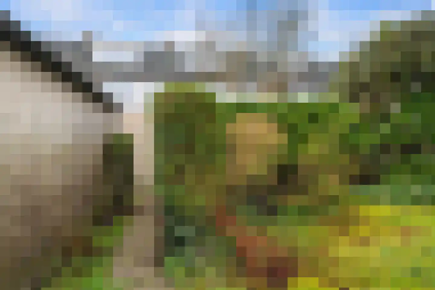 Korenbloem 31 Barendrecht thumbnail 38