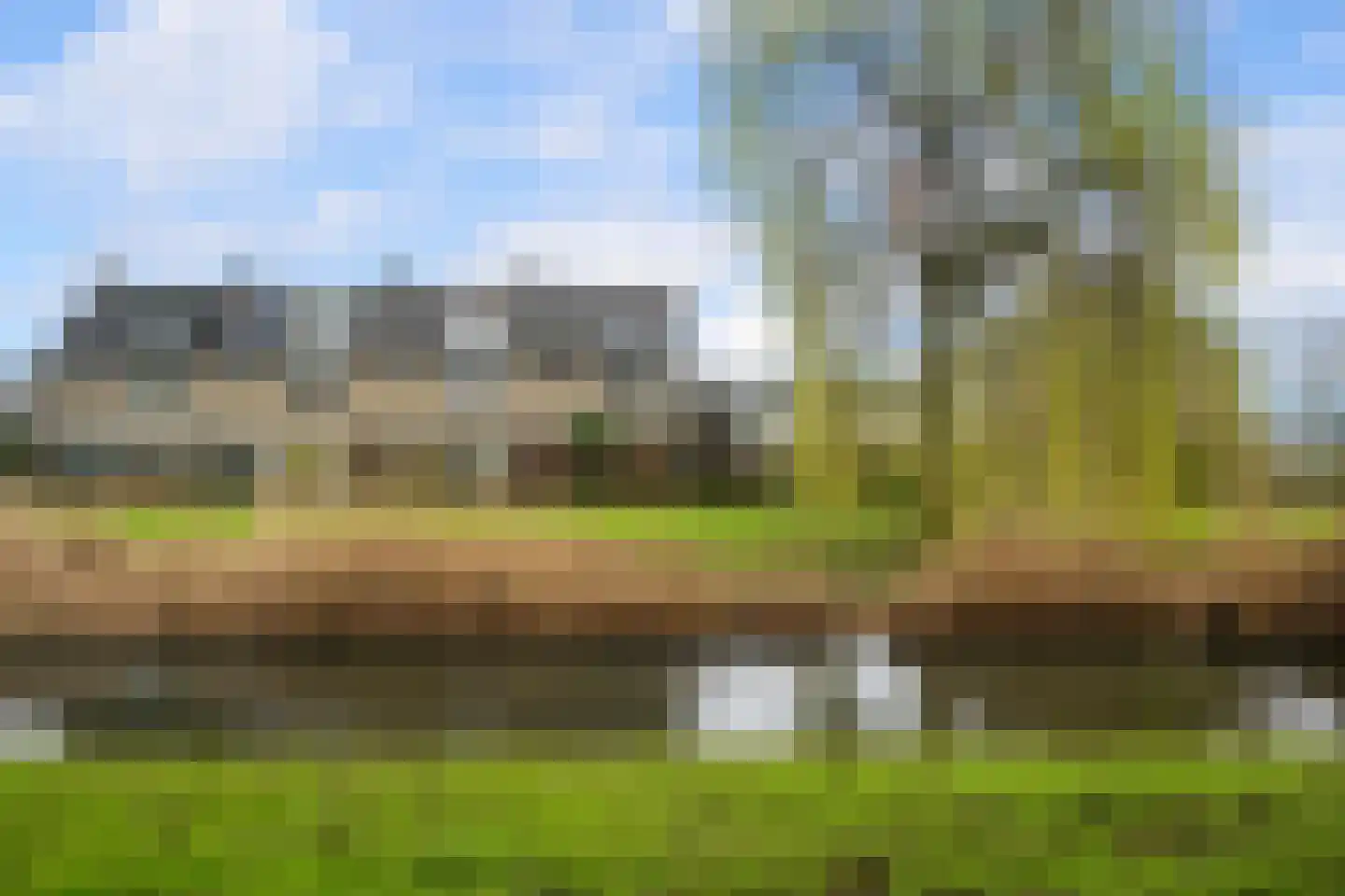 Korenbloem 31 Barendrecht thumbnail 5