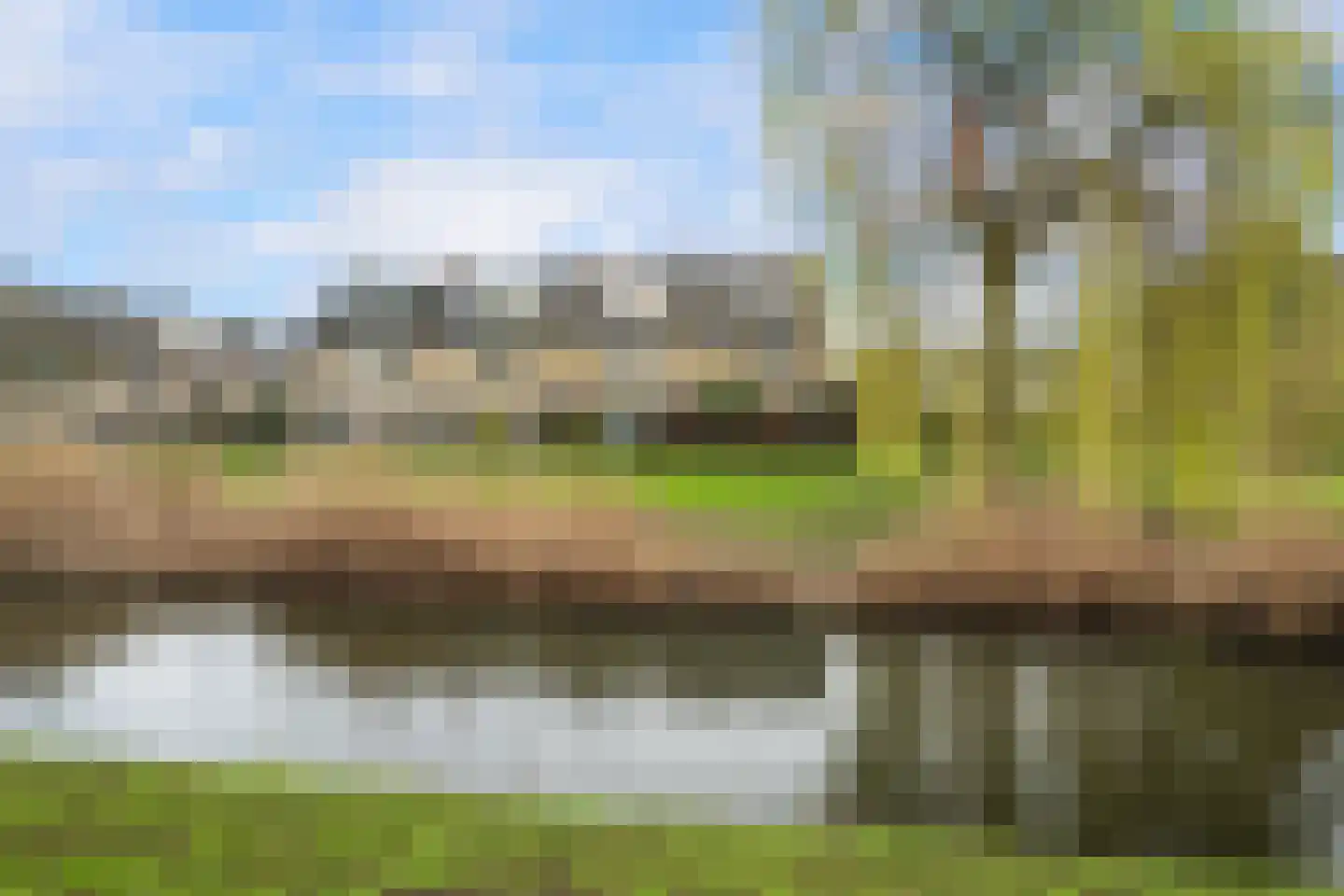 Korenbloem 31 Barendrecht thumbnail 6