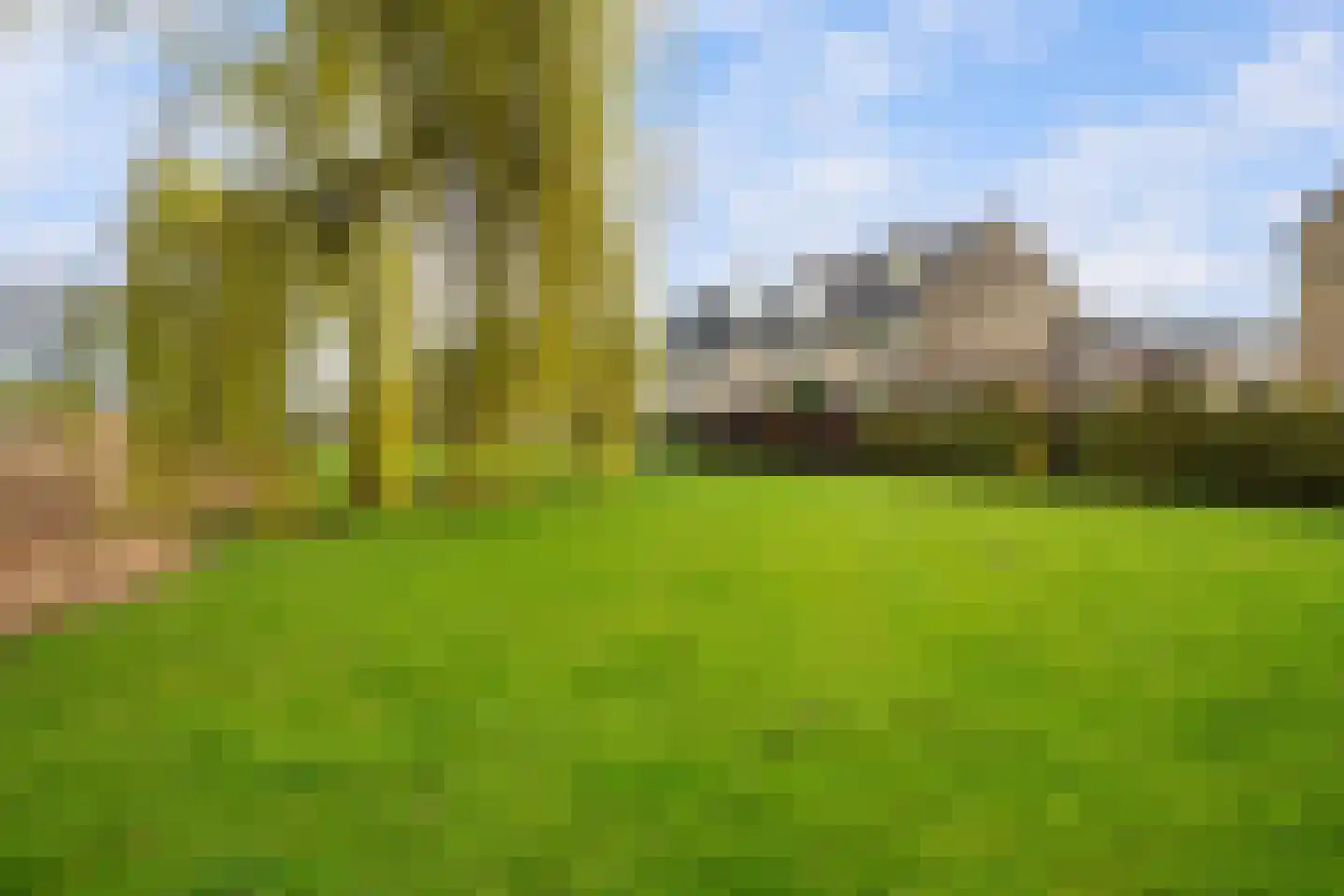 Korenbloem 31 Barendrecht thumbnail 7