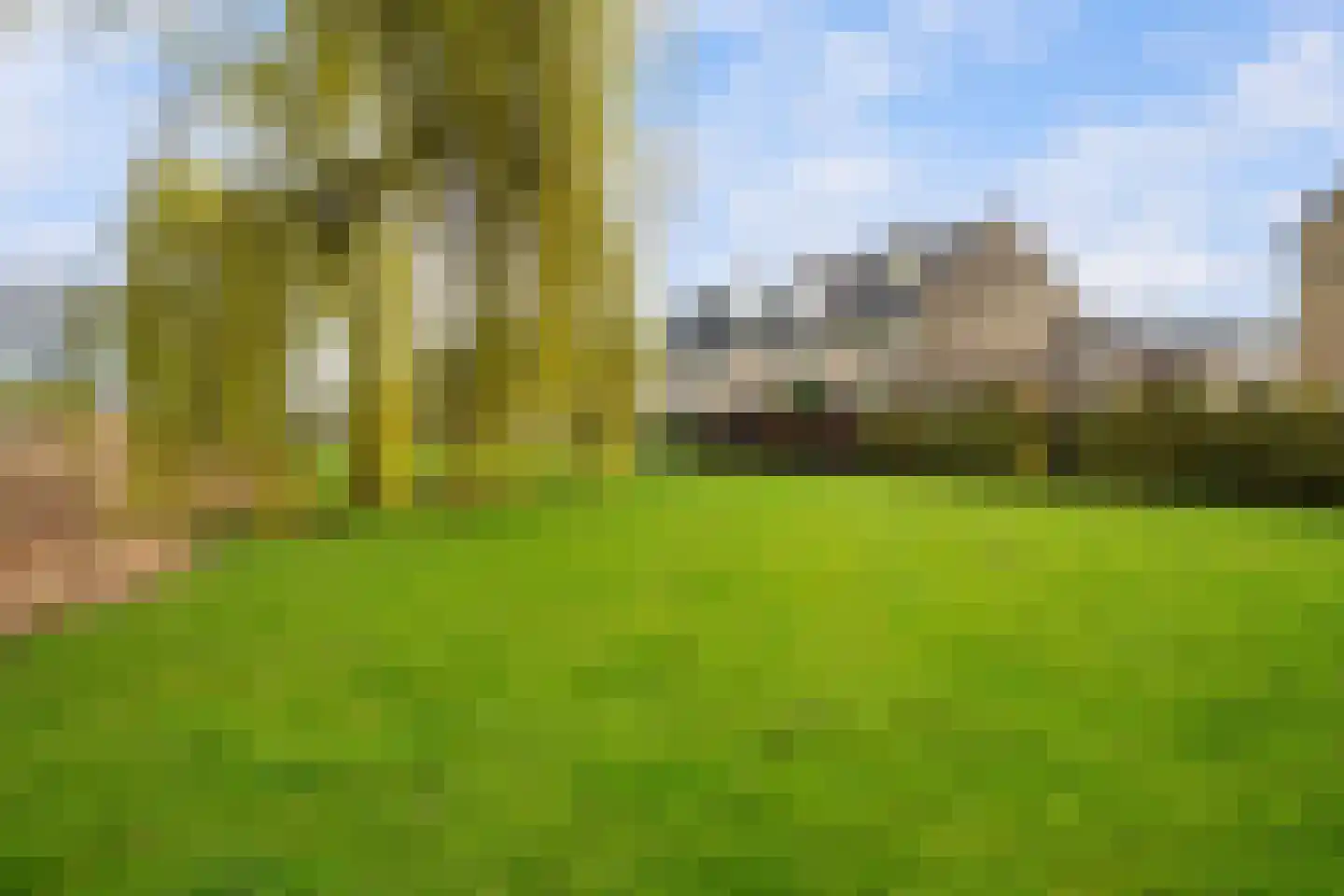 Korenbloem 31 Barendrecht thumbnail 7