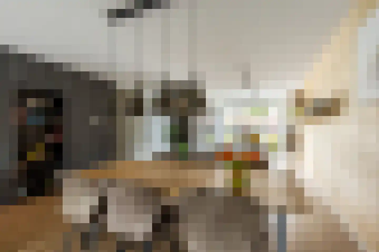 Korenbloem 33 Oudenhoorn thumbnail 13